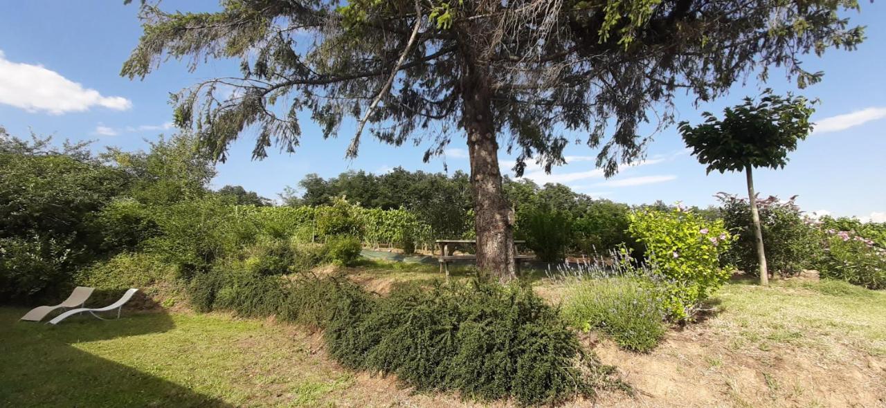 Le Pressoir Villa Mercurol-Veaunes Exteriör bild