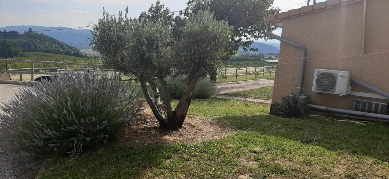 Le Pressoir Villa Mercurol-Veaunes Exteriör bild